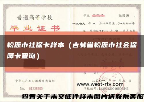 松原市社?？颖荆质∷稍猩鐣Ｕ峡ú樵儯┛s略圖