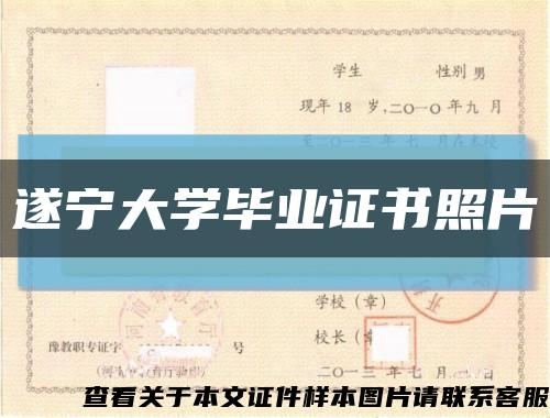 遂寧大學畢業證書照片縮略圖