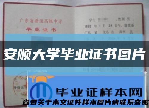 安順大學畢業證書圖片縮略圖