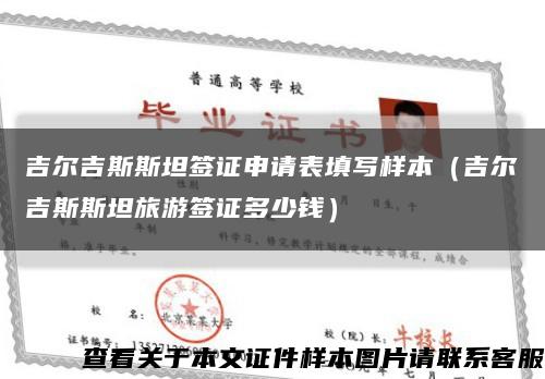 吉爾吉斯斯坦簽證申請表填寫樣本（吉爾吉斯斯坦旅游簽證多少錢）縮略圖