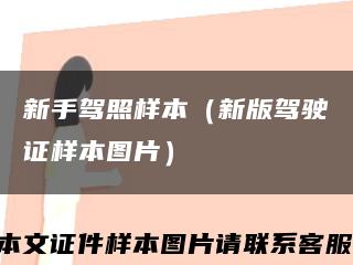 新手駕照樣本（新版駕駛證樣本圖片）縮略圖