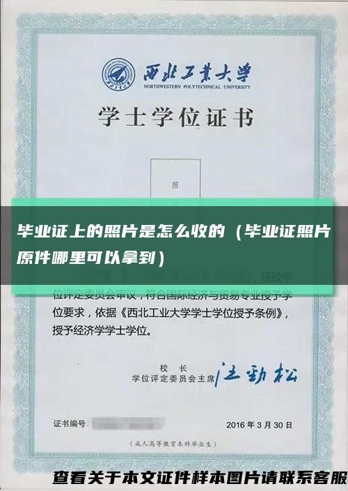 畢業證上的照片是怎么收的（畢業證照片原件哪里可以拿到）縮略圖