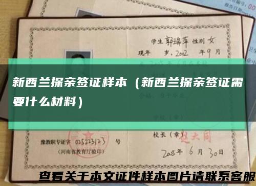 新西蘭探親簽證樣本（新西蘭探親簽證需要什么材料）縮略圖