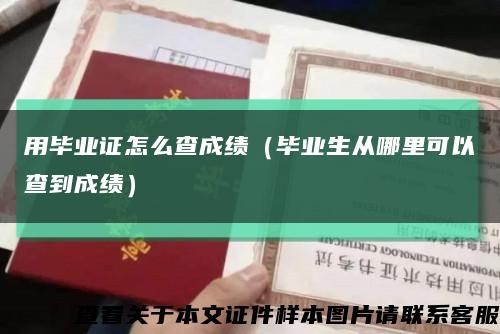 用畢業證怎么查成績（畢業生從哪里可以查到成績）縮略圖