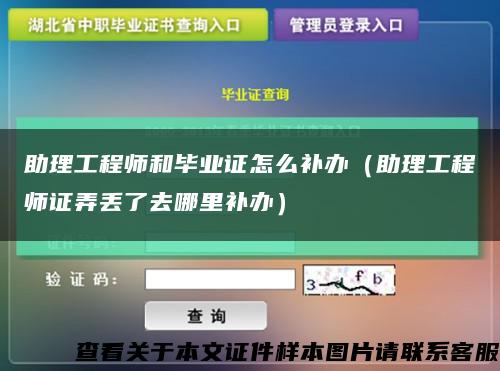 助理工程師和畢業證怎么補辦（助理工程師證弄丟了去哪里補辦）縮略圖