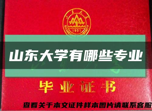 山東大學有哪些專業縮略圖