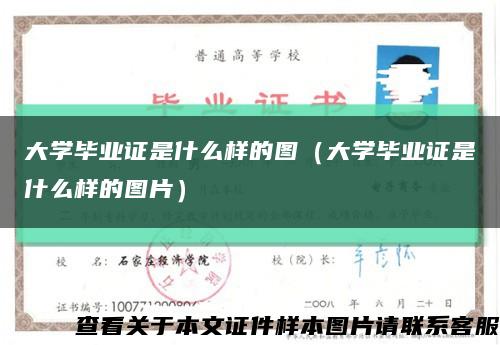 大學畢業證是什么樣的圖（大學畢業證是什么樣的圖片）縮略圖