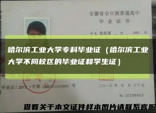 哈爾濱工業大學?？飘厴I證（哈爾濱工業大學不同校區的畢業證和學生證）縮略圖
