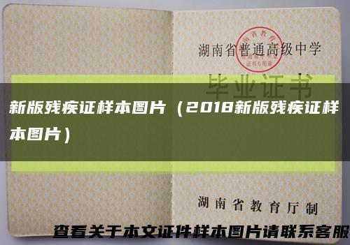 新版殘疾證樣本圖片（2018新版殘疾證樣本圖片）縮略圖