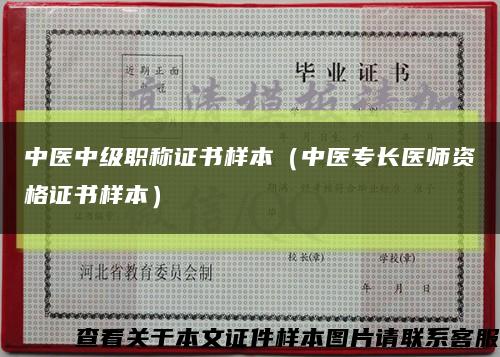 中醫中級職稱證書樣本（中醫專長醫師資格證書樣本）縮略圖