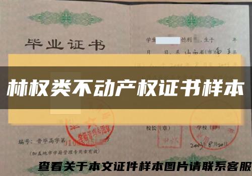 林權類不動產權證書樣本縮略圖