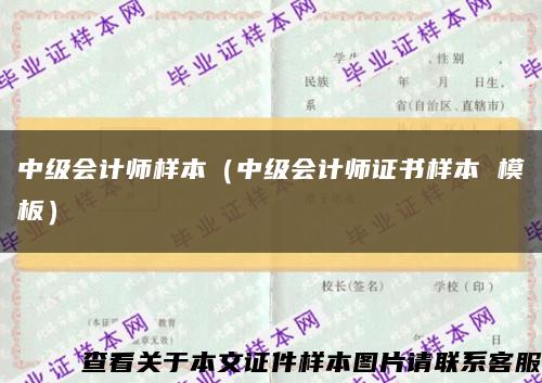 中級會計師樣本（中級會計師證書樣本 模板）縮略圖