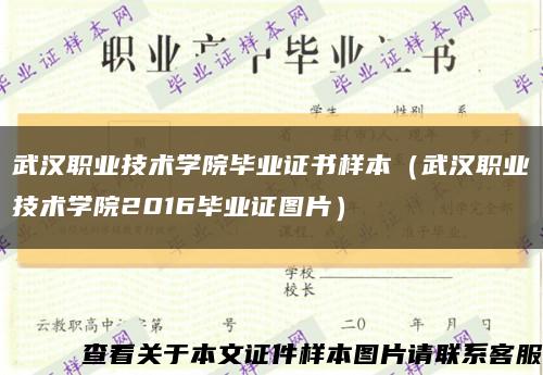 武漢職業技術學院畢業證書樣本（武漢職業技術學院2016畢業證圖片）縮略圖