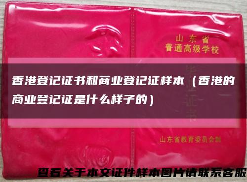 香港登記證書和商業登記證樣本（香港的商業登記證是什么樣子的）縮略圖