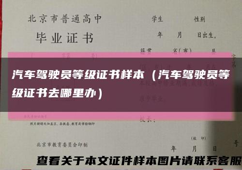汽車駕駛員等級證書樣本（汽車駕駛員等級證書去哪里辦）縮略圖