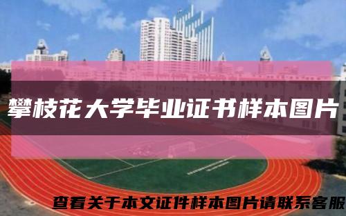 攀枝花大學畢業證書樣本圖片縮略圖