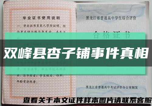 雙峰縣杏子鋪事件真相縮略圖