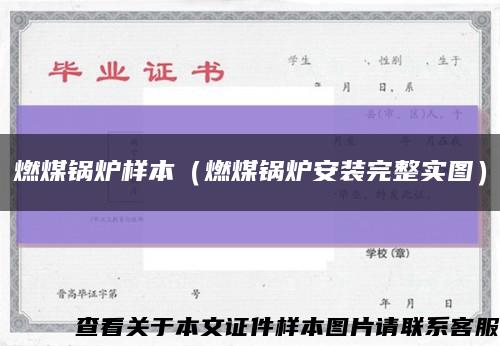 燃煤鍋爐樣本（燃煤鍋爐安裝完整實圖）縮略圖