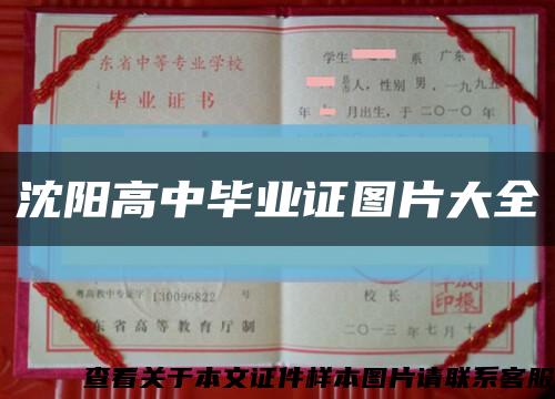 沈陽高中畢業證圖片大全縮略圖
