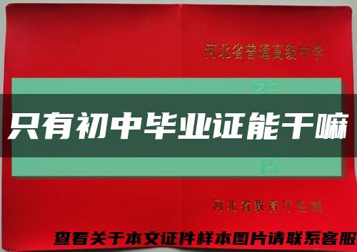 只有初中畢業證能干嘛縮略圖