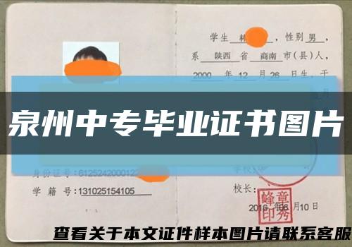 泉州中專畢業證書圖片縮略圖