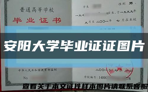安陽大學畢業證證圖片縮略圖