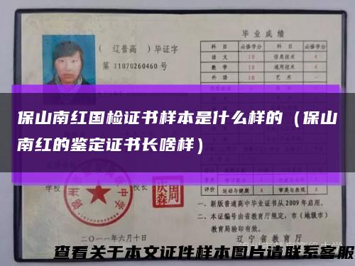 保山南紅國檢證書樣本是什么樣的（保山南紅的鑒定證書長啥樣）縮略圖