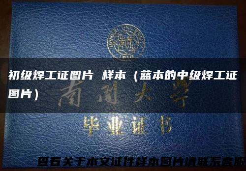 初級焊工證圖片 樣本（藍本的中級焊工證圖片）縮略圖