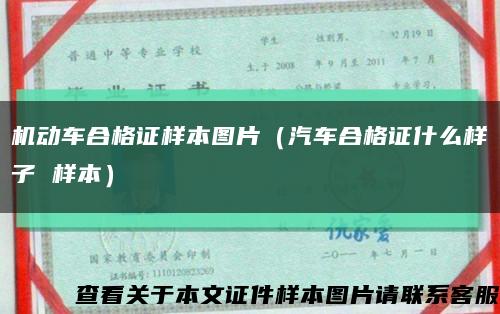 機動車合格證樣本圖片（汽車合格證什么樣子 樣本）縮略圖