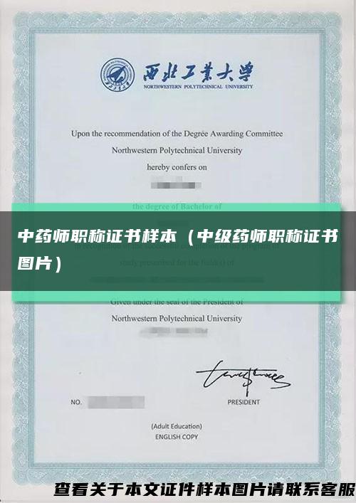 中藥師職稱證書樣本（中級藥師職稱證書圖片）縮略圖