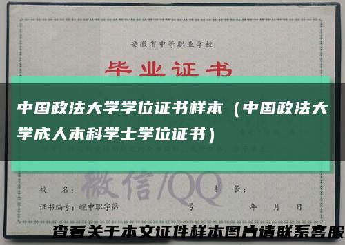 中國政法大學學位證書樣本（中國政法大學成人本科學士學位證書）縮略圖