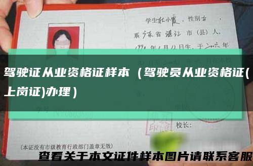 駕駛證從業資格證樣本（駕駛員從業資格證(上崗證)辦理）縮略圖