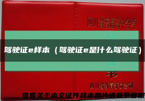 駕駛證e樣本（駕駛證e是什么駕駛證）縮略圖