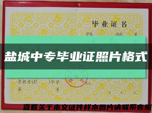 鹽城中專畢業證照片格式縮略圖