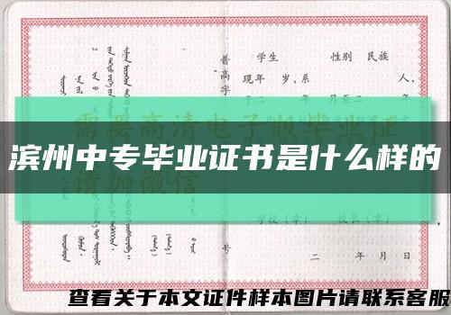 濱州中專畢業證書是什么樣的縮略圖