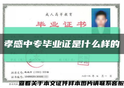 孝感中專畢業證是什么樣的縮略圖
