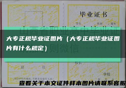 大專正規畢業證圖片（大專正規畢業證圖片有什么規定）縮略圖