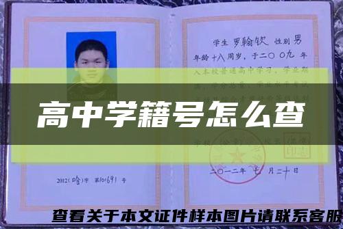 高中學籍號怎么查縮略圖
