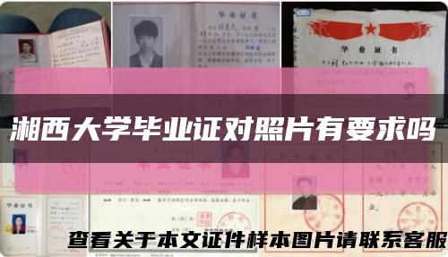 湘西大學畢業證對照片有要求嗎縮略圖