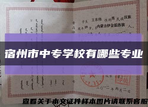 宿州市中專學校有哪些專業縮略圖
