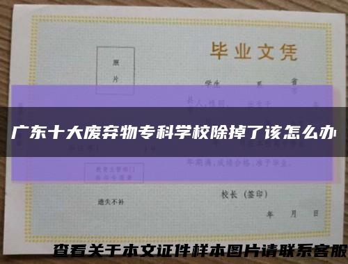 廣東十大廢棄物?？茖W校除掉了該怎么辦縮略圖