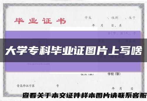 大學?？飘厴I證圖片上寫啥縮略圖