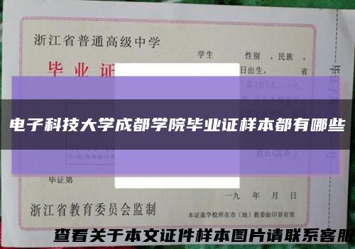 電子科技大學成都學院畢業證樣本都有哪些縮略圖