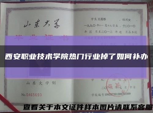 西安職業技術學院熱門行業掉了如何補辦縮略圖