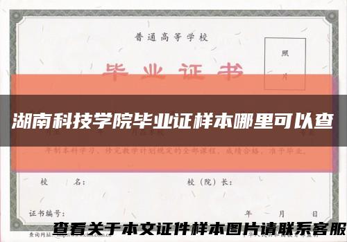 湖南科技學院畢業證樣本哪里可以查縮略圖