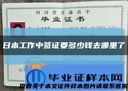 日本工作中簽證要多少錢去哪里了縮略圖