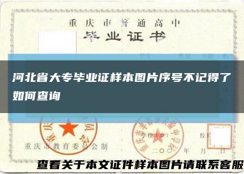 河北省大專畢業證樣本圖片序號不記得了如何查詢縮略圖