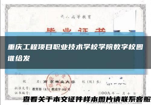 重慶工程項目職業技術學校學院數字校園誰給發縮略圖