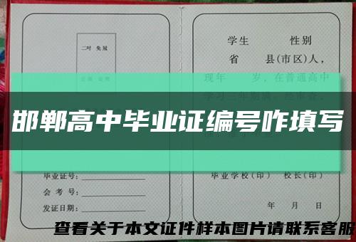 邯鄲高中畢業證編號咋填寫縮略圖