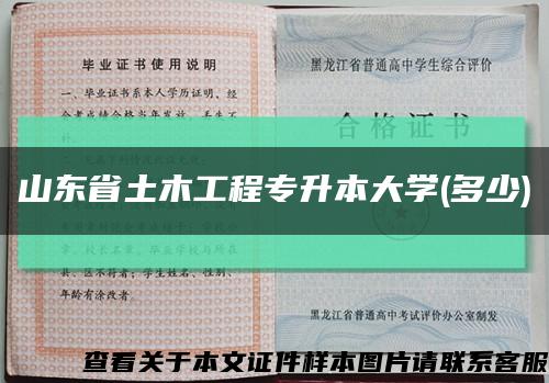 山東省土木工程專升本大學(多少)縮略圖